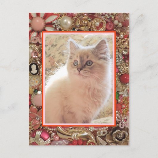 Cat Lover's Vintages Foto-Design Postkarte (Vorderseite)
