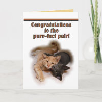 Cat Lovers Wedding Glückwunschkarte