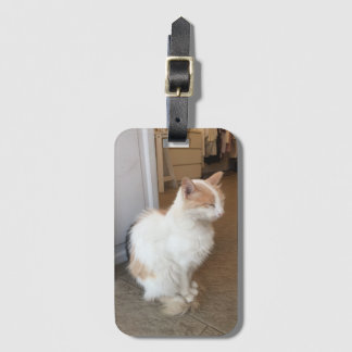 Cat Luggage Tag Gepäckanhänger