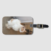 Cat Luggage Tag Gepäckanhänger (Vorderseite (Horizontal))
