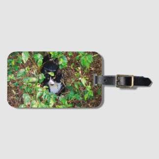 Cat Luggage Tag Gepäckanhänger