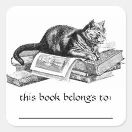 Cat Lying On Books Buchzeichen Stickers