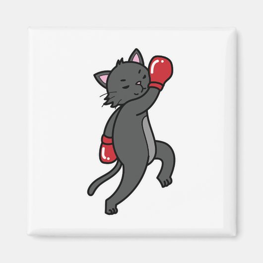 Cat macht Boxing Magnet (Vorne)