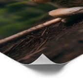 Cat macht Yoga-Digitaldruck Poster (Ecke)