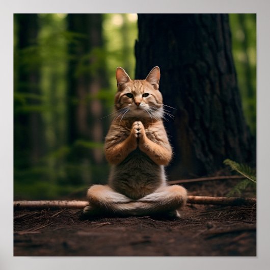 Cat macht Yoga-Digitaldruck Poster (Vorne)