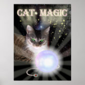 Cat Magic Poster (Vorne)