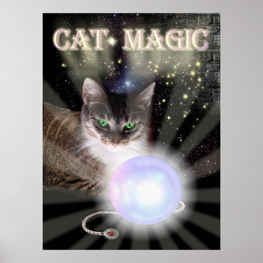 Cat Magic Poster (Vorne)
