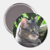 Cat Magnet (Vorderseite/Rückseite)