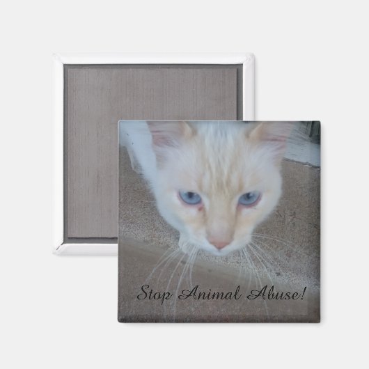 Cat Magnet (Vorderseite/Rückseite)
