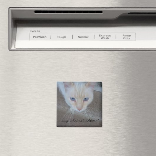 Cat Magnet (In Situ (Geschirrspüler))