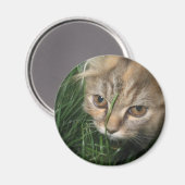 Cat Magnet (Vorderseite/Rückseite)