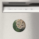 Cat Magnet (In Situ (Geschirrspüler))
