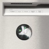 Cat Magnet (In Situ (Geschirrspüler))