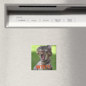 Cat Magnet (In Situ (Geschirrspüler))