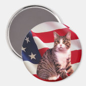 Cat Magnet All American (Vorderseite/Rückseite)