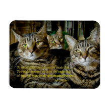 Cat Magnet - Alle Katzen sind einzigartig