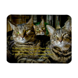Cat Magnet - Alle Katzen sind einzigartig