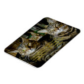 Cat Magnet - Alle Katzen sind einzigartig (Linke Seite)