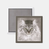 Cat Magnet - "Merlin" (Vorderseite/Rückseite)