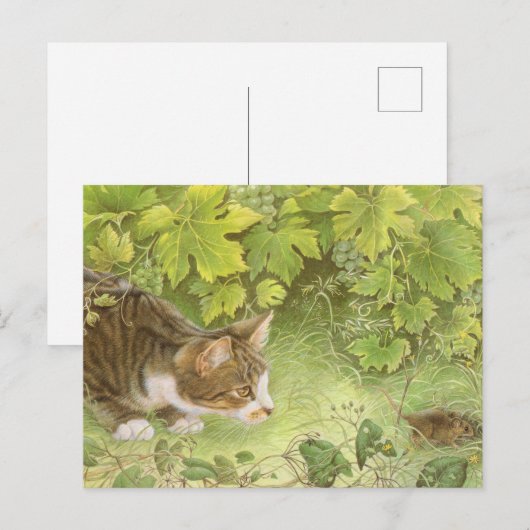 CAT-MALKARTEN POSTKARTE (Vorne/Hinten)