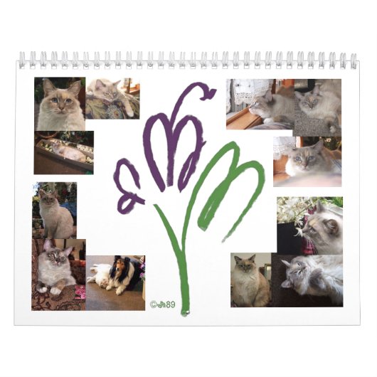 Cat Mascot-Kalender Kalender (Titelbild)
