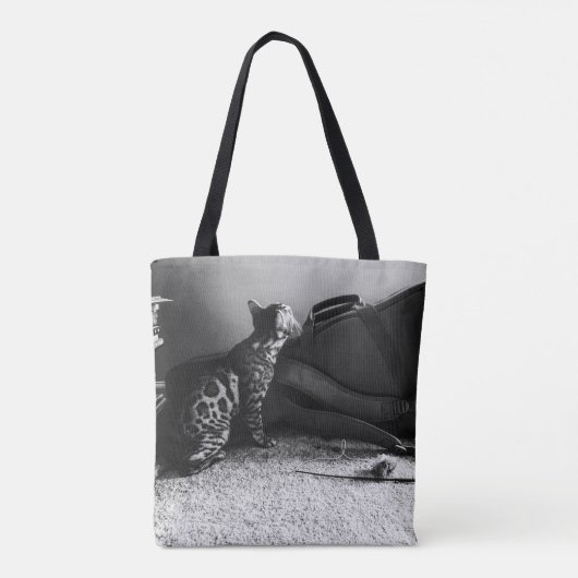 Cat meets Gitarre Tasche (Rückseite)