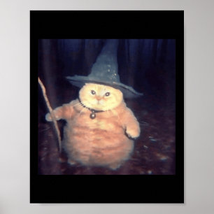 Cat Meme _1 Poster