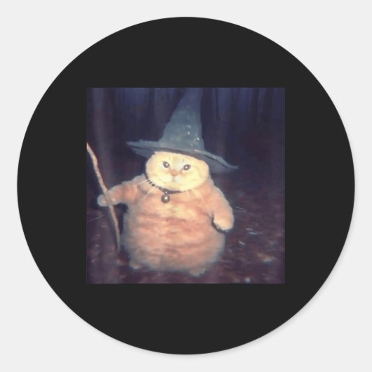 Cat Meme _1 Runder Aufkleber (Vorderseite)