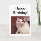 Cat-Meme für geklappte Karten (Vorderseite)