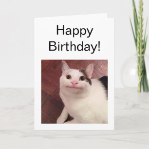 Cat-Meme für geklappte Karten