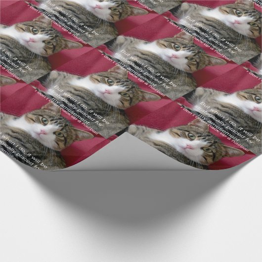 Cat Meme Geschenkpapier (Ecke)