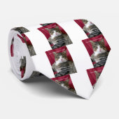 Cat Meme Krawatte (Gerollt)