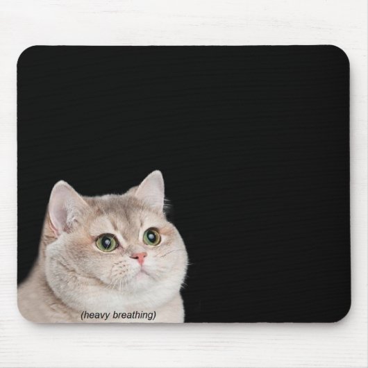Cat Meme Mouse Pad Mousepad (Vorne)