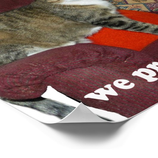 Cat Meme Poster (Ecke)