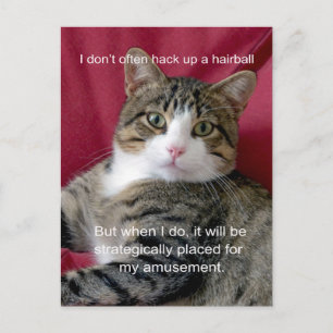 Cat Meme Postkarte