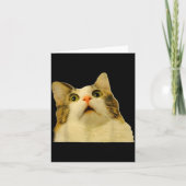Cat Meme Shock Cat Face Funny Meme Cat Silly Gift Karte (Vorderseite)
