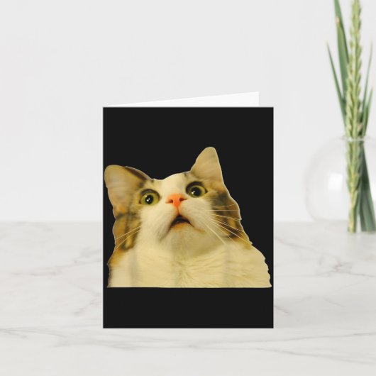 Cat Meme Shock Cat Face Funny Meme Cat Silly Gift Karte (Vorderseite)