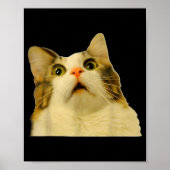 Cat Meme Shock Cat Face Funny Meme Cat Silly Gift  Poster (Vorne)