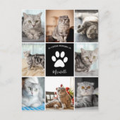 Cat Memorial Custom Foto Collage in Love Memory Postkarte (Vorderseite)