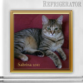 Cat Memorial Foto Frame Magnet