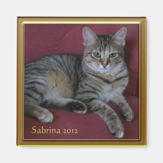Cat Memorial Foto Frame Magnet (Vorne)
