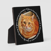 Cat Memorial Foto Plaque Fotoplatte (Vorderseite)