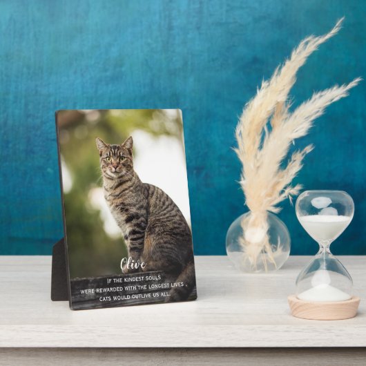 Cat Memorial Gift - Pet Loss Keepake - Cat Beileid Fotoplatte (Seite)
