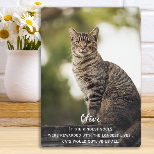 Cat Memorial Gift - Pet Loss Keepake - Cat Beileid Fotoplatte