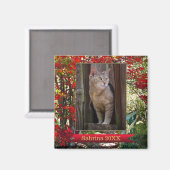 Cat Memorial oder Keepake Foto Frame Magnet (Vorderseite/Rückseite)