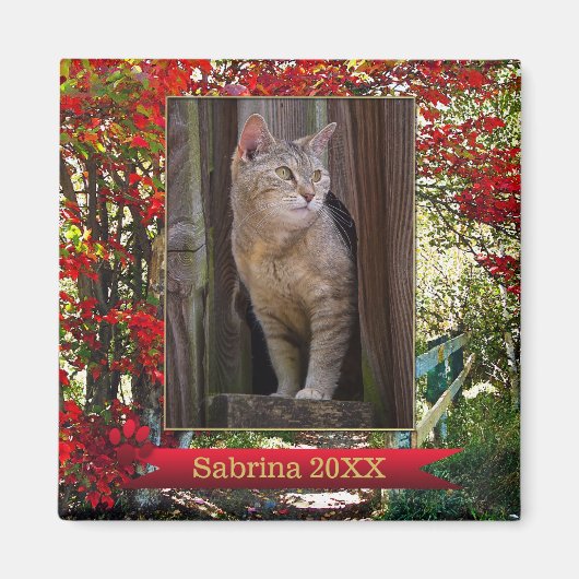 Cat Memorial oder Keepake Foto Frame Magnet (Vorne)