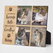 Cat Memorial Pet Loss Keepake Foto Fotoplatte (Seite)