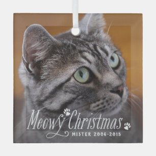 Cat Meowy Christmas Pet Memorial Foto Ornament Aus Glas