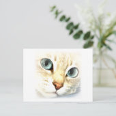 Cat mesmerEYES Postkarte (Stehend Vorderseite)