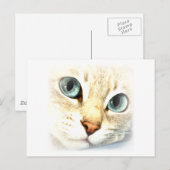 Cat mesmerEYES Postkarte (Vorne/Hinten)